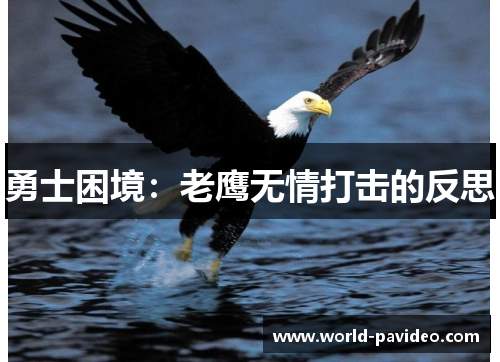 勇士困境:老鹰无情打击的反思