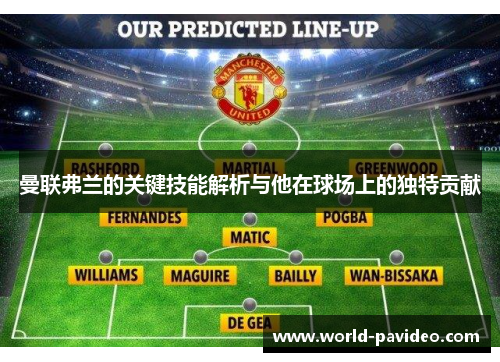 曼联弗兰的关键技能解析与他在球场上的独特贡献