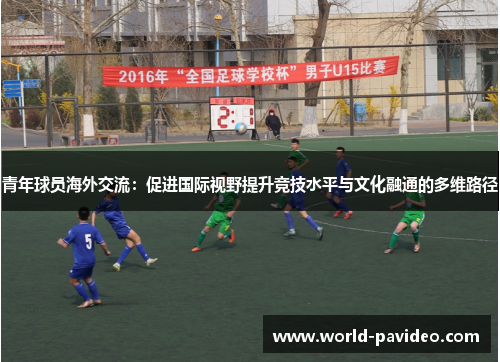 青年球员海外交流：促进国际视野提升竞技水平与文化融通的多维路径